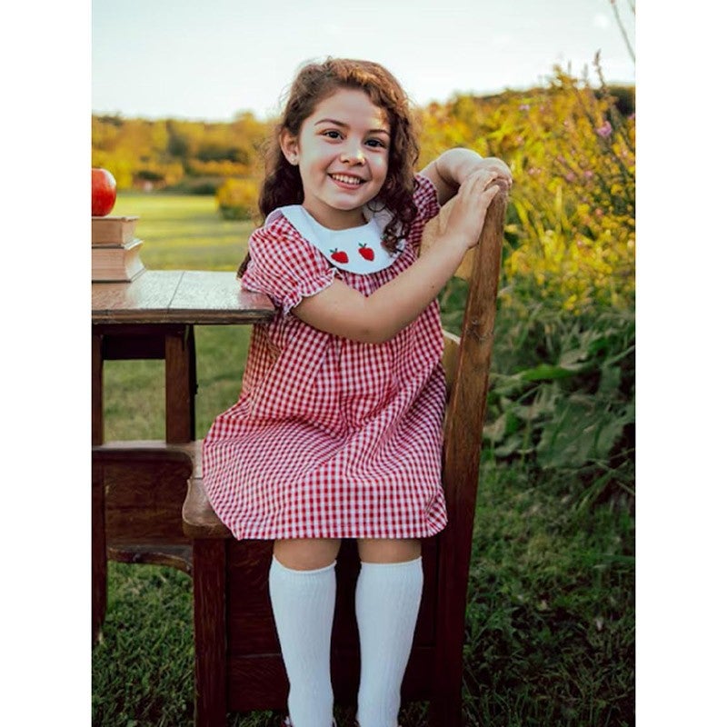 Back to School Smocked Dress