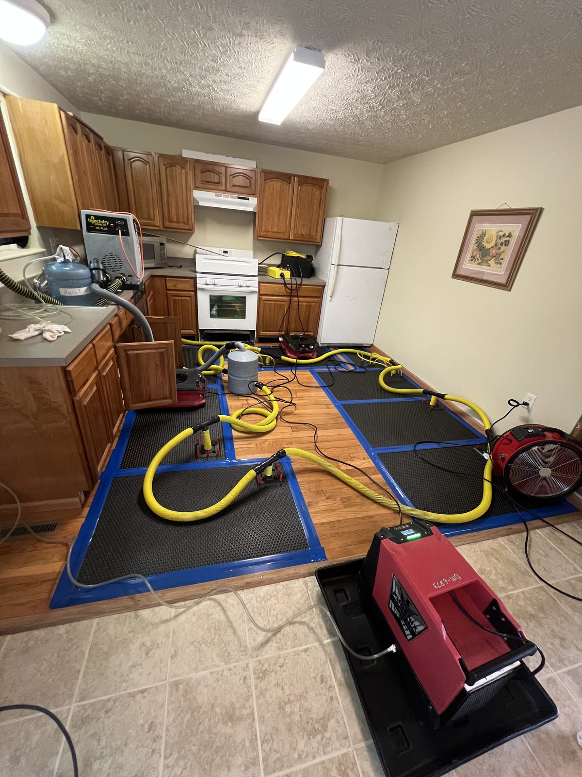 Floor drying equipment set up in a kitchen