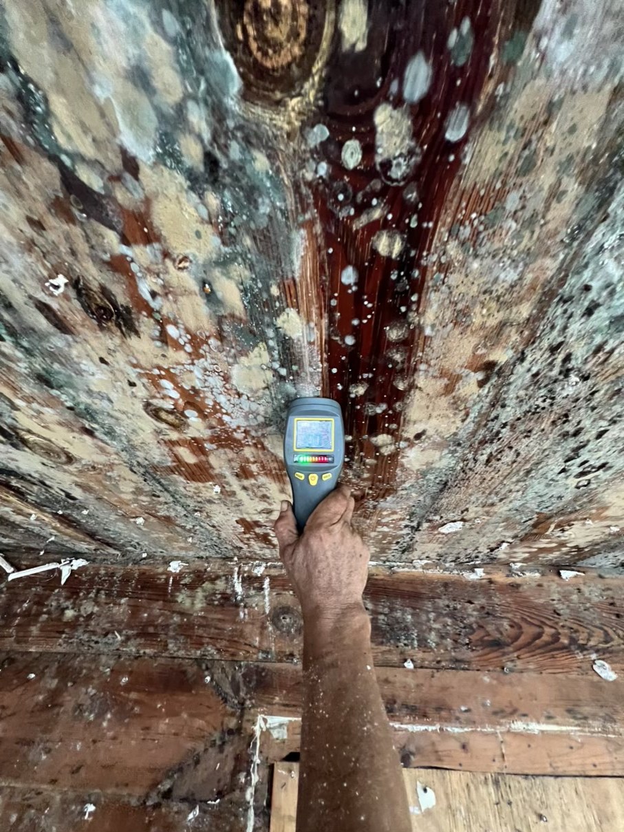 Water-damaged interior surface documented for restoration
