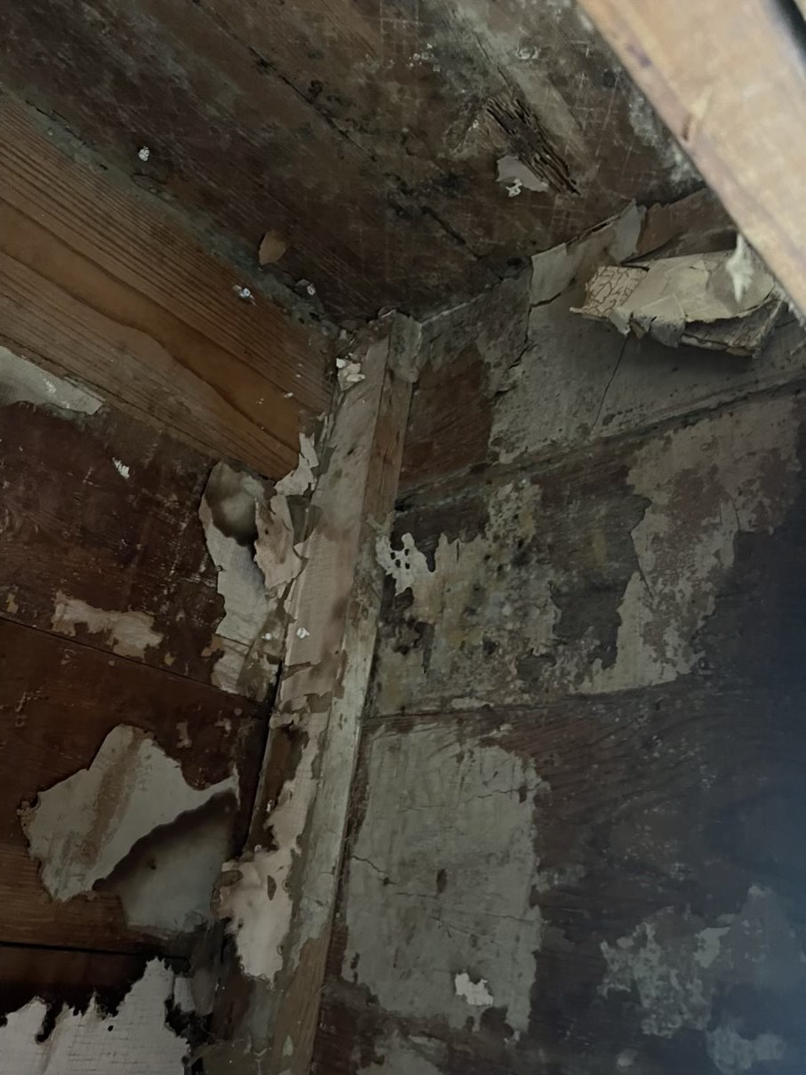Interior wall condition documented during restoration