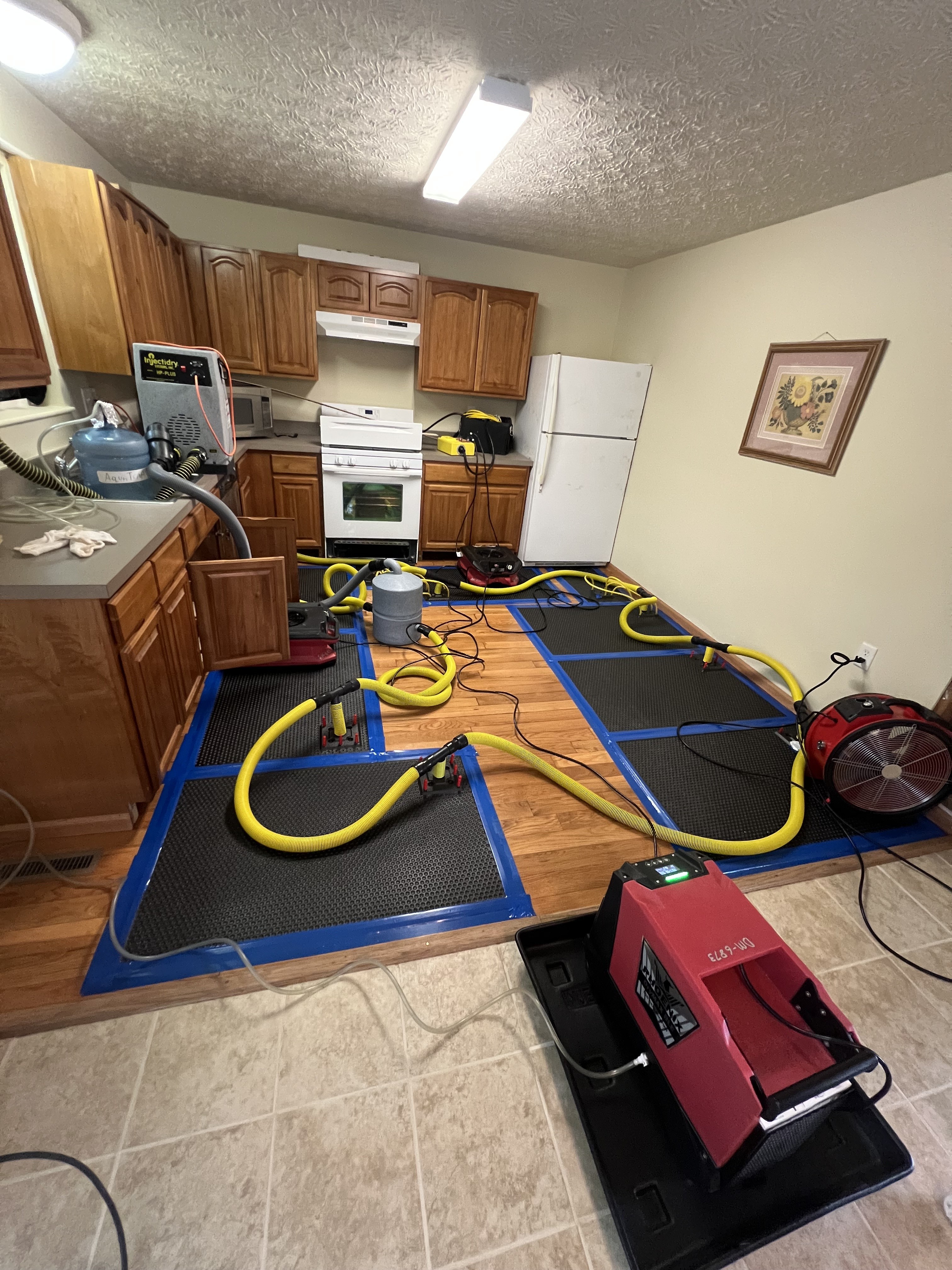 Floor drying equipment set up in a kitchen