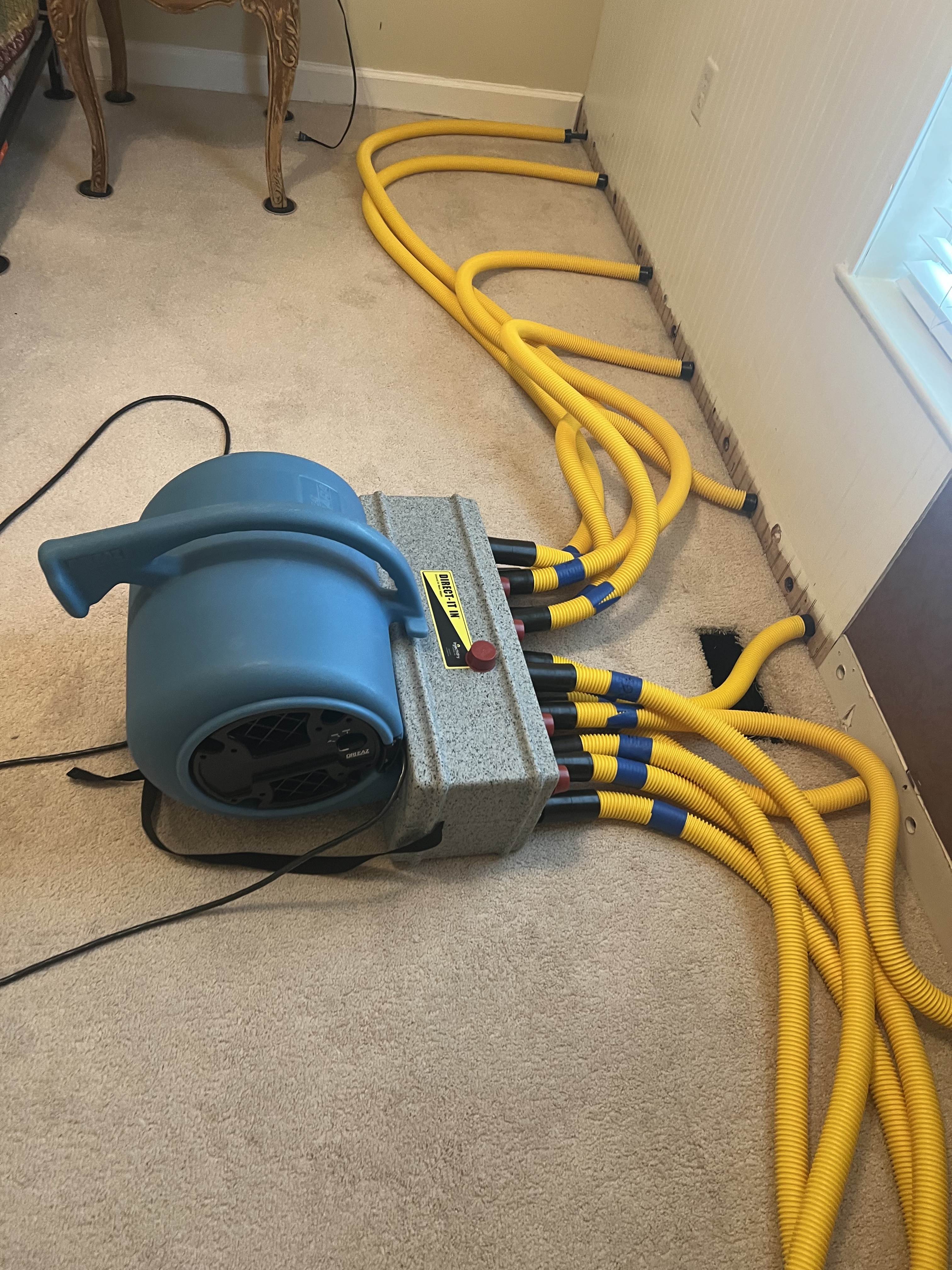 Drying equipment and hoses installed for water mitigation