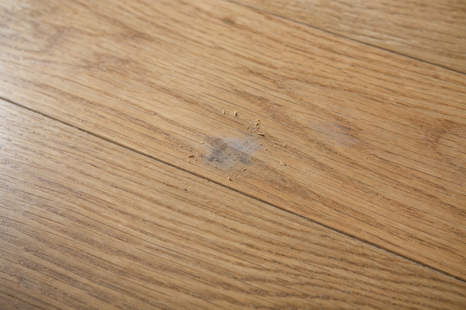 Small dry debris and a subtle scuff on unfinished oak hardwood boards