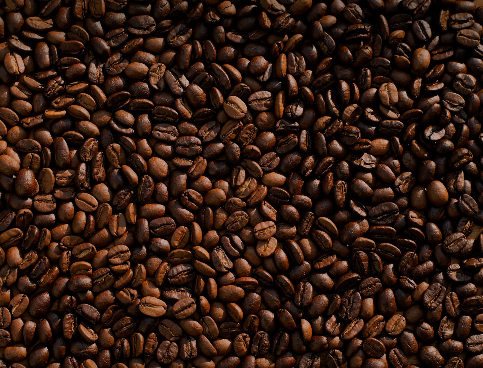 Close view of roasted coffee beans with varied shapes and colors