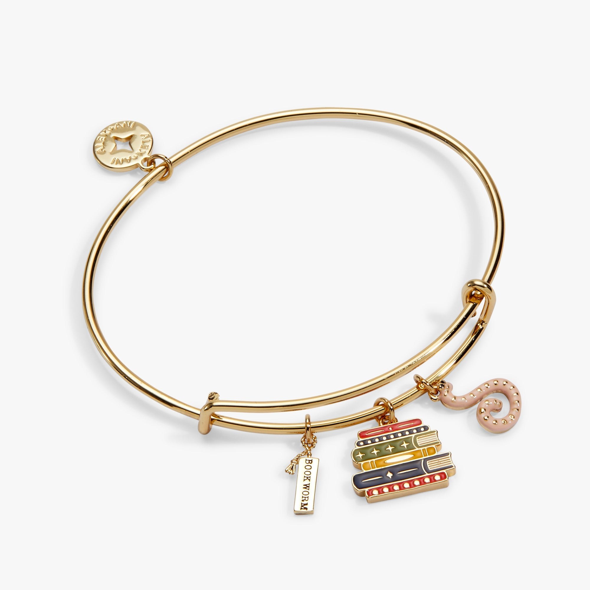 Book Club Multicharm Bangle from Rayline Variety
