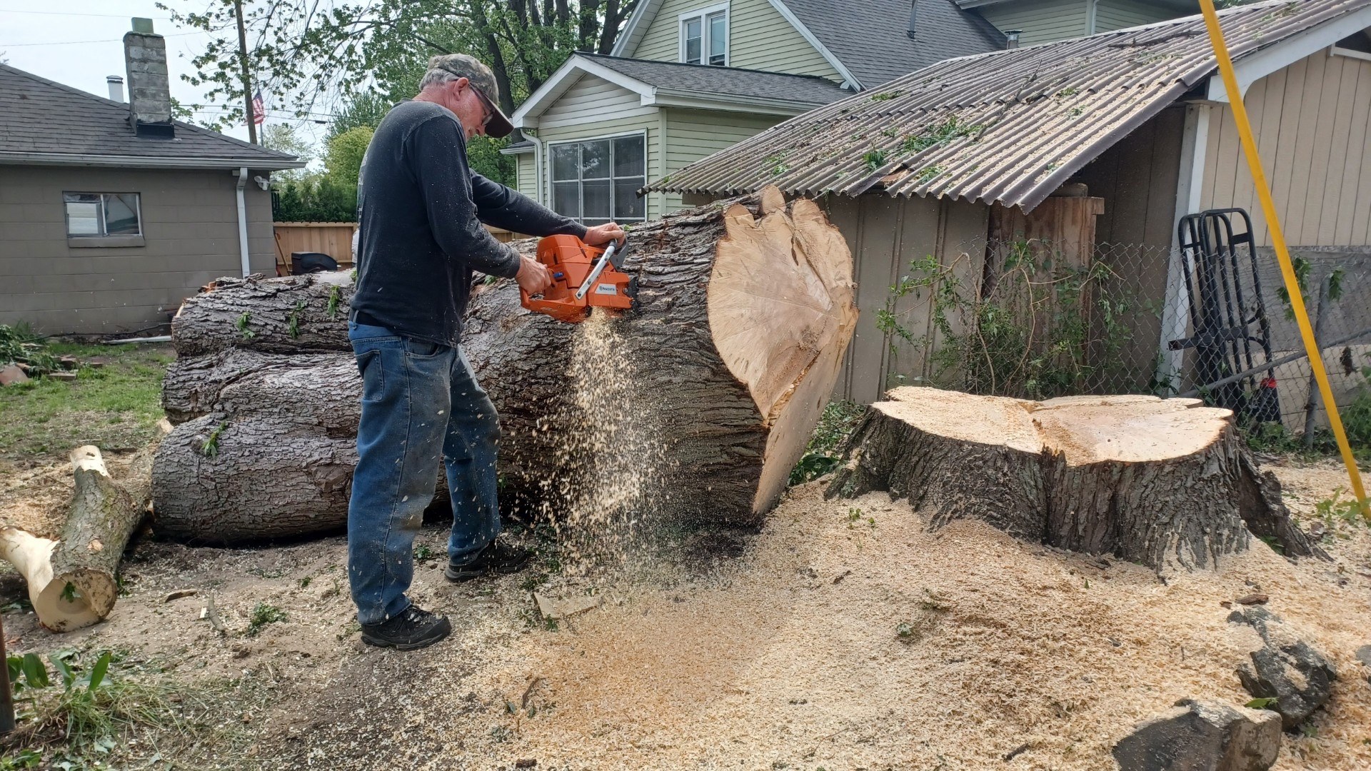 Crew member cutting a large stump