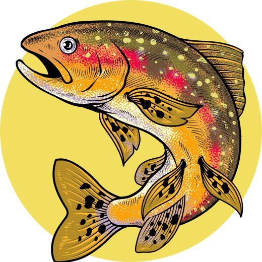 Middle River Outfitters