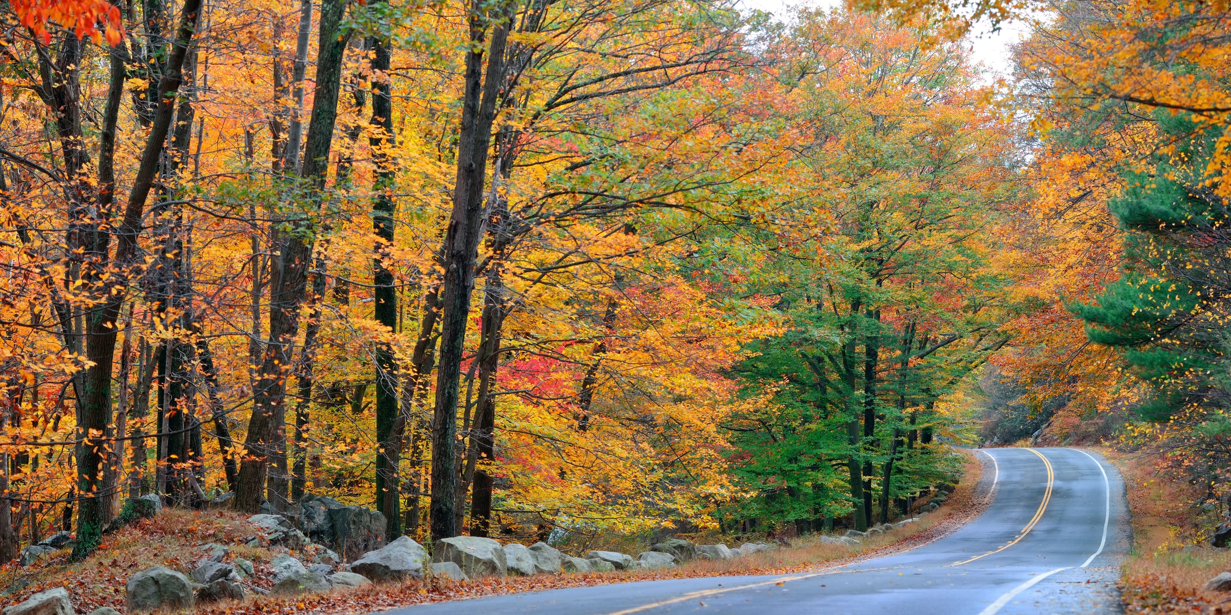 Colorful fall foliage along a Shenandoah Valley road