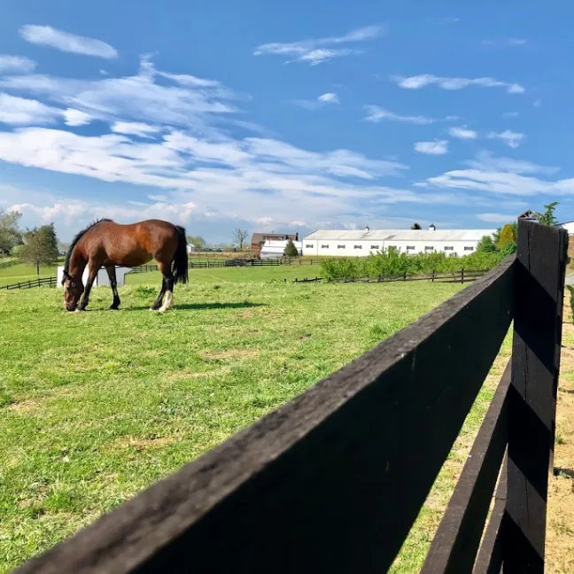 Blue Ridge scenery at Stable Craft Brewing