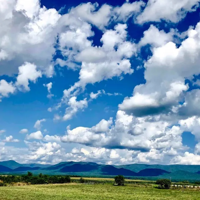 Blue Ridge scenery at Stable Craft Brewing