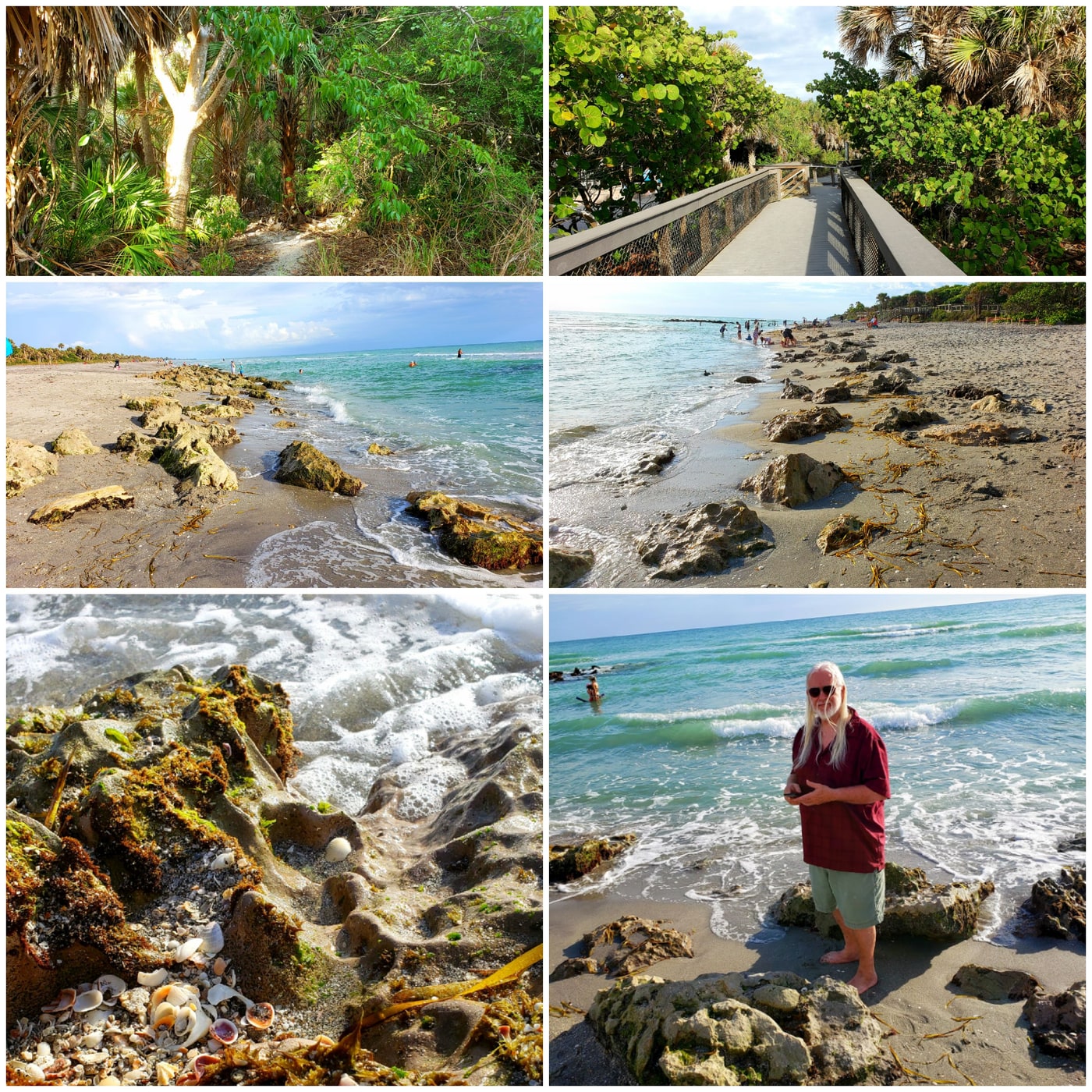 Artwork for Beachcombing