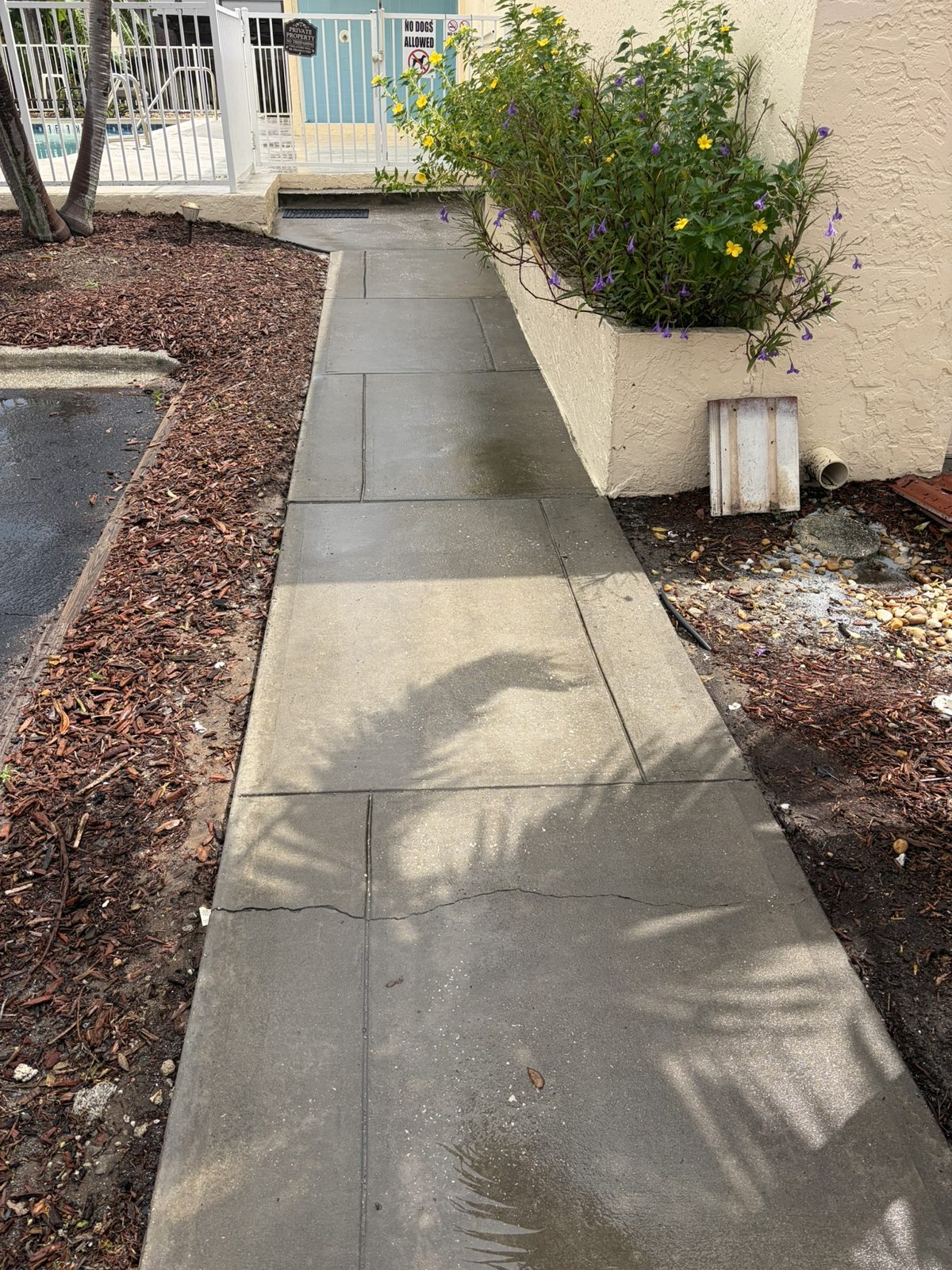 Community entranceway cleaning in Melbourne, after the work by Roof 2 Curb