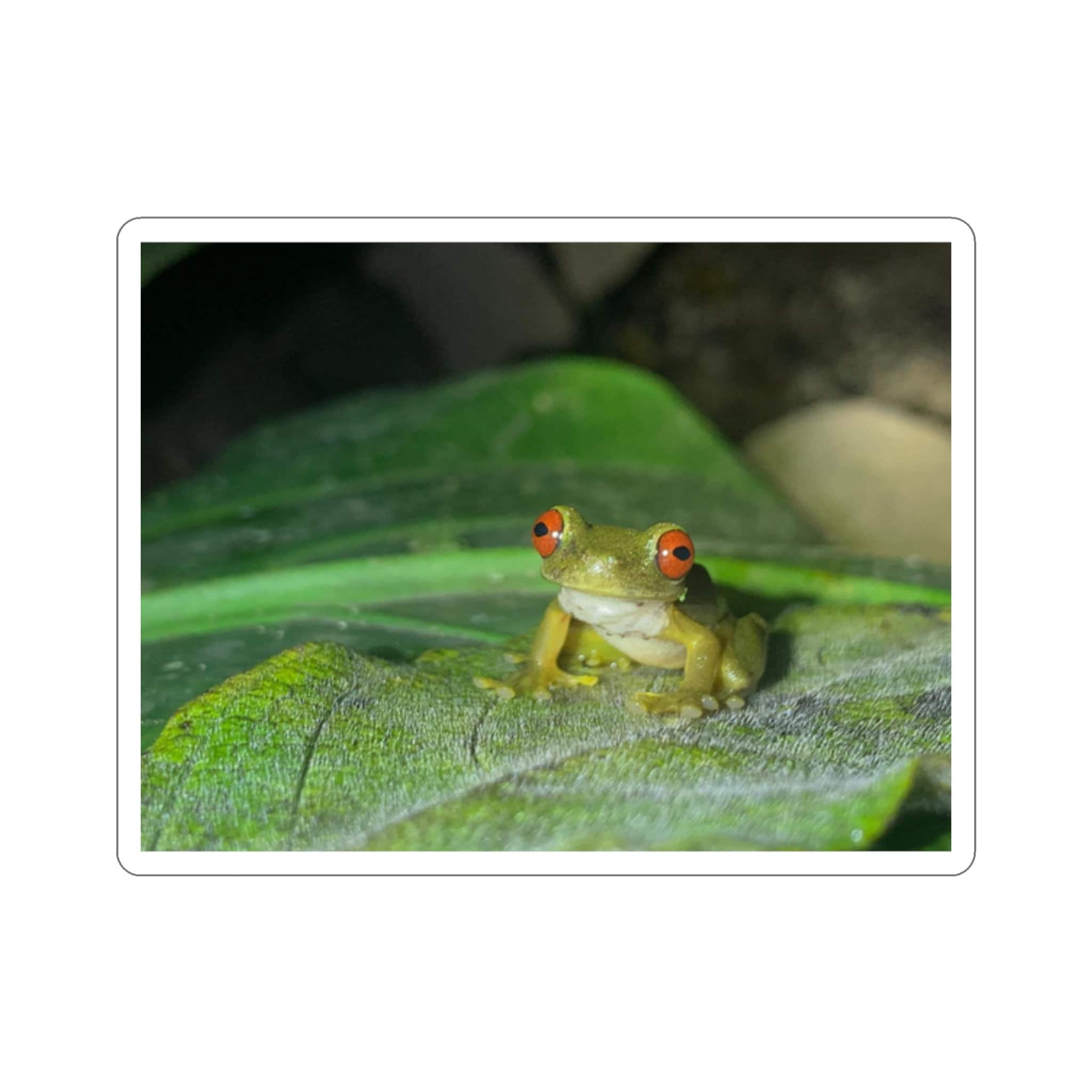 Wildlife