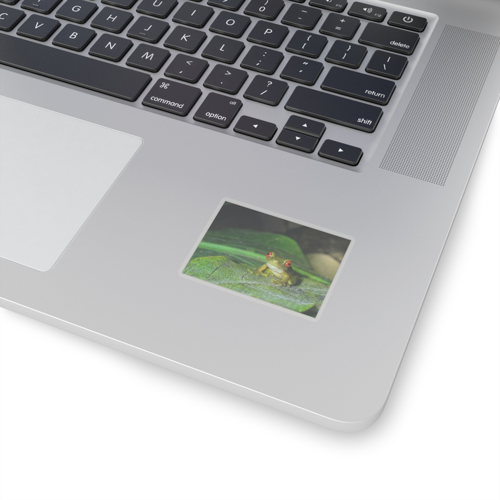 Red-Eyed Tree Frog Sticker | Rainforest Wildlife Decal view 5