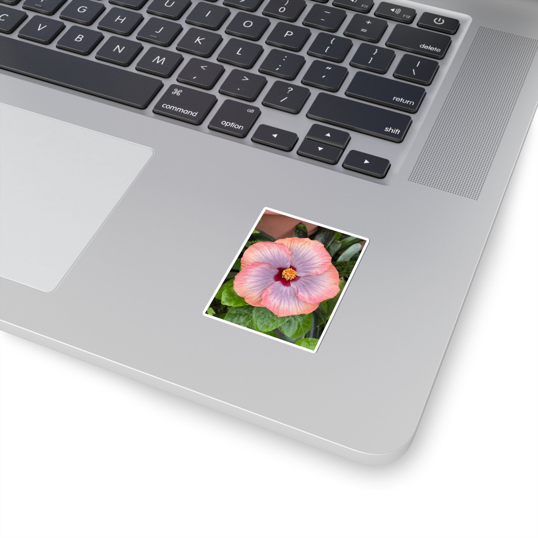 Peach Purple Hibiscus Sticker: Vinyl Floral Decal view 5