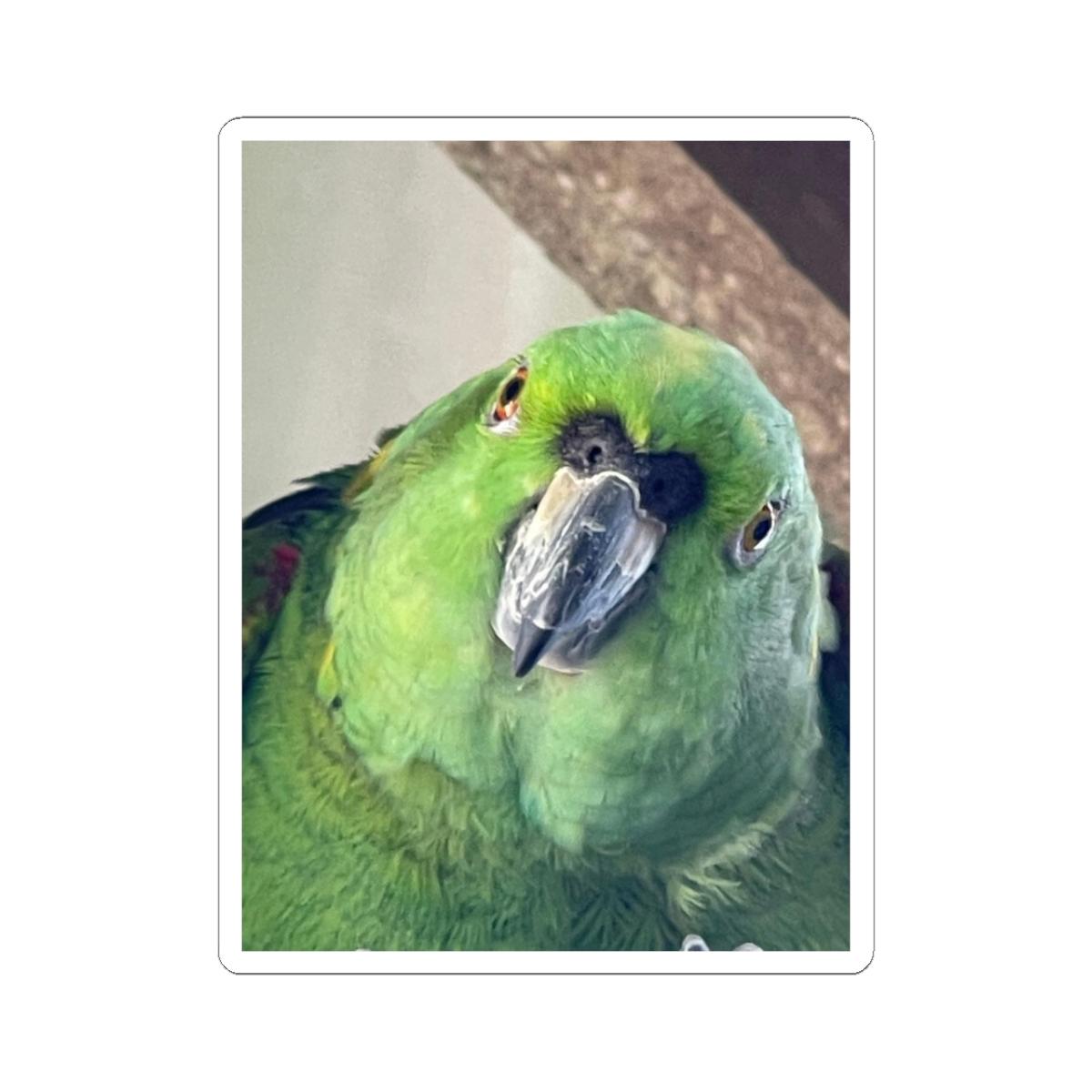 Green Parrot Portrait Sticker | Kiss-Cut Vinyl Parrot Decal