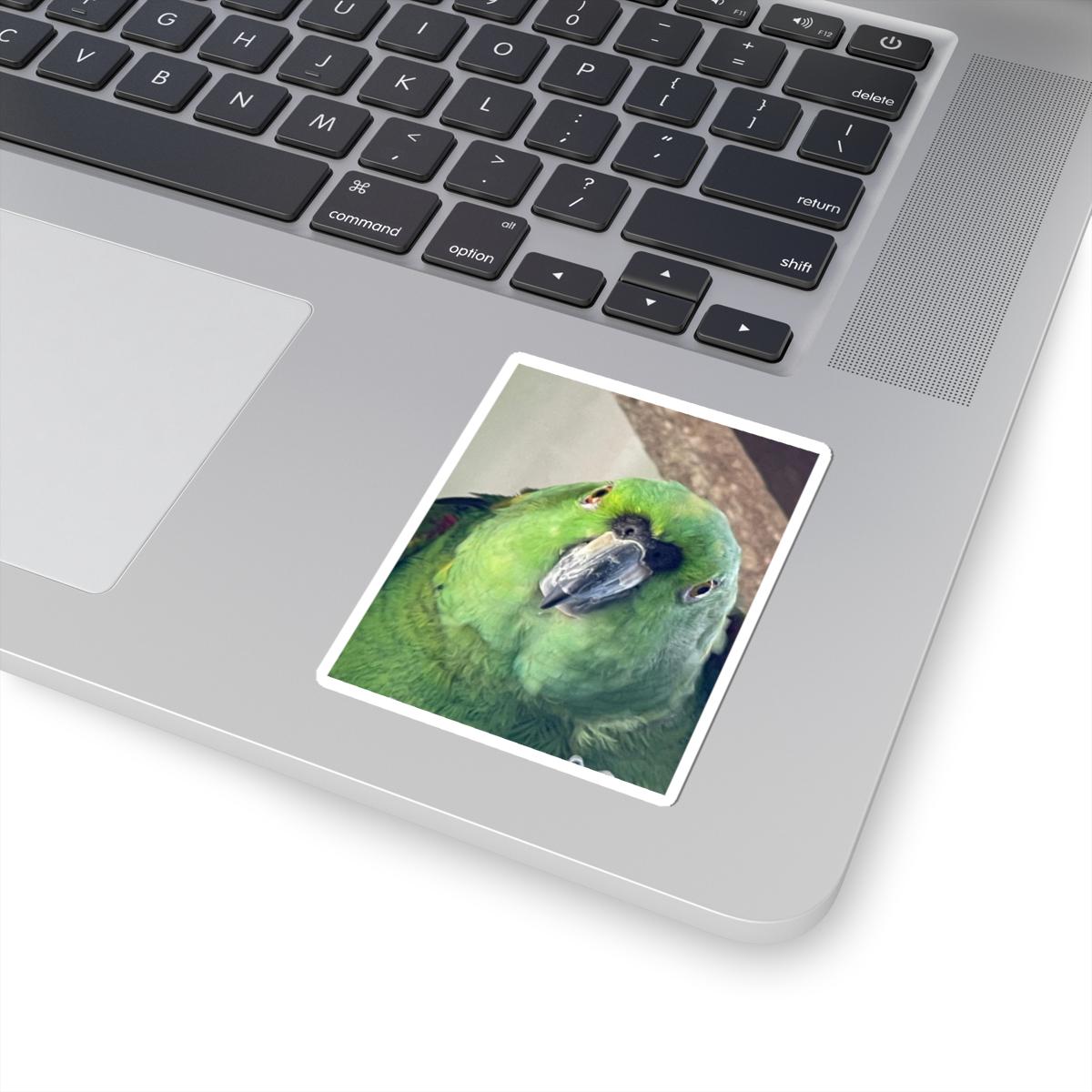 Green Parrot Portrait Sticker | Kiss-Cut Vinyl Parrot Decal view 2