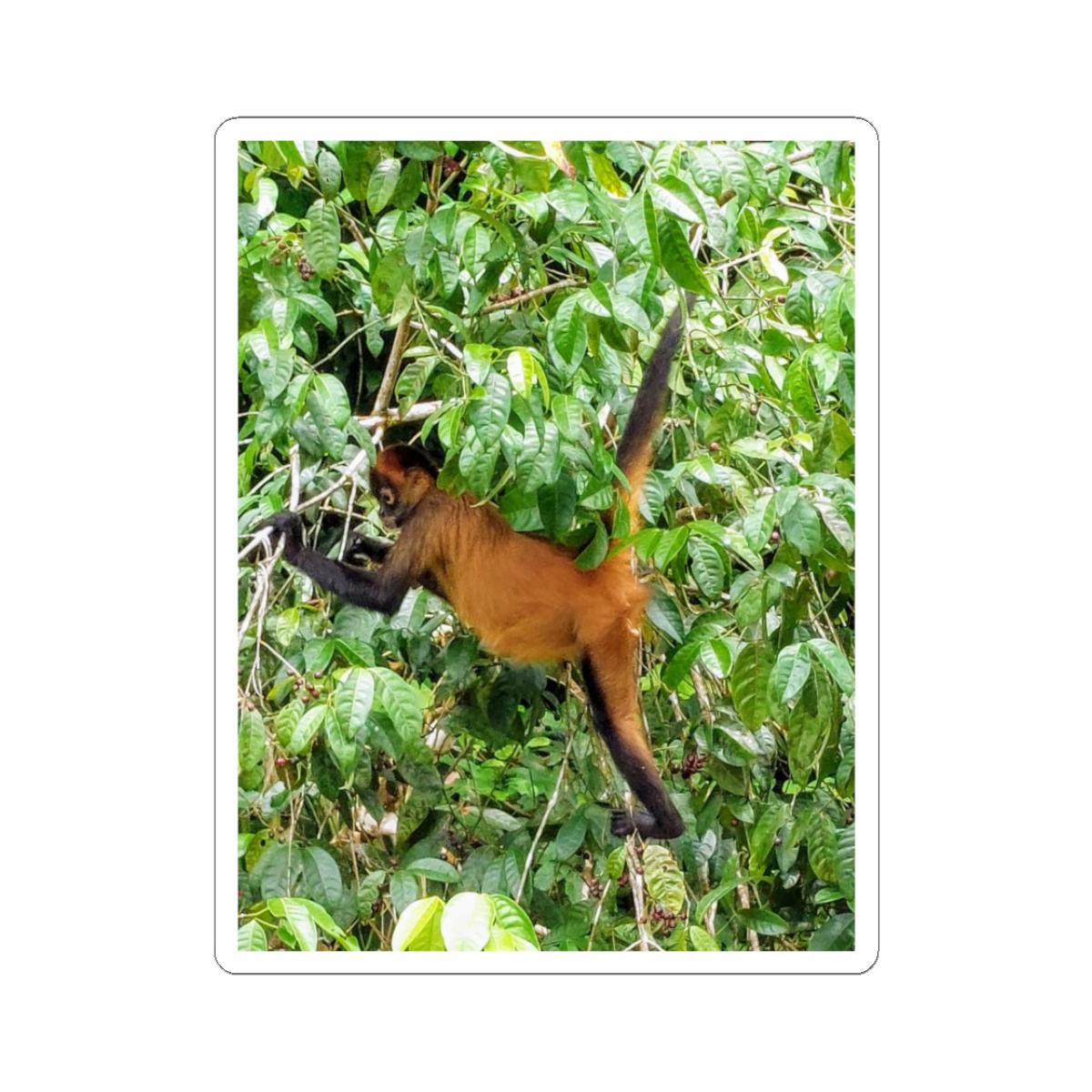 Monkey Sticker | Jungle Wildlife Decal
