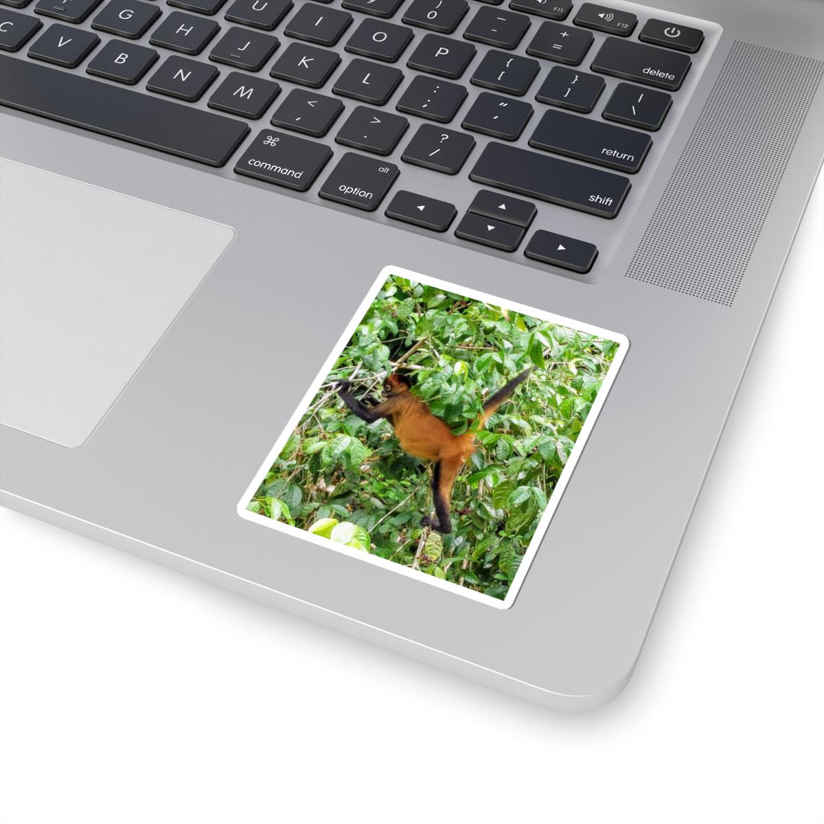 Monkey Sticker | Jungle Wildlife Decal view 2