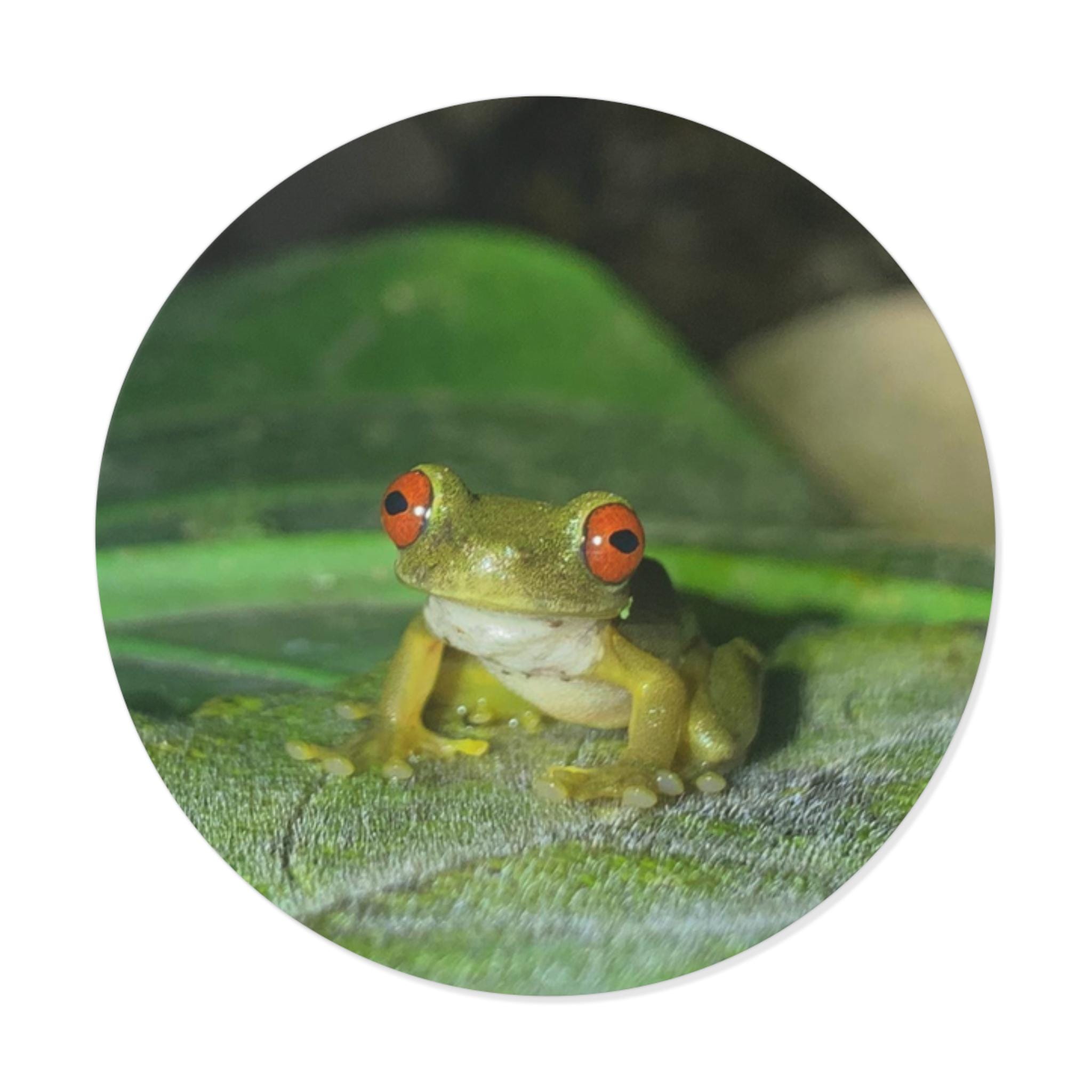 Red-Eyed Tree Frog Sticker | Kiss-Cut Vinyl Frog Laptop Decal