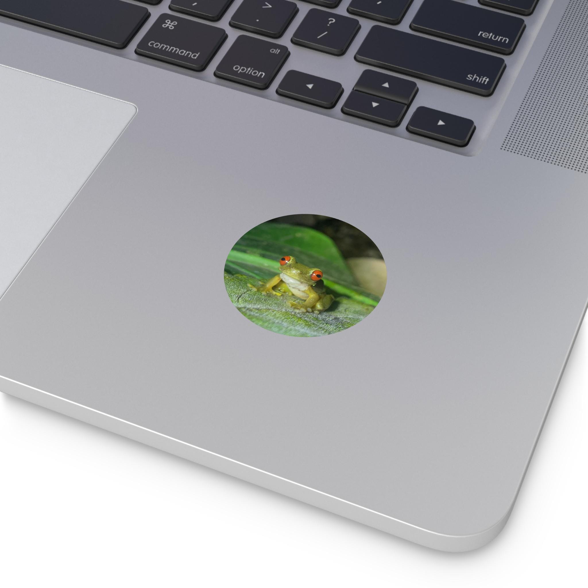 Red-Eyed Tree Frog Sticker | Kiss-Cut Vinyl Frog Laptop Decal view 3