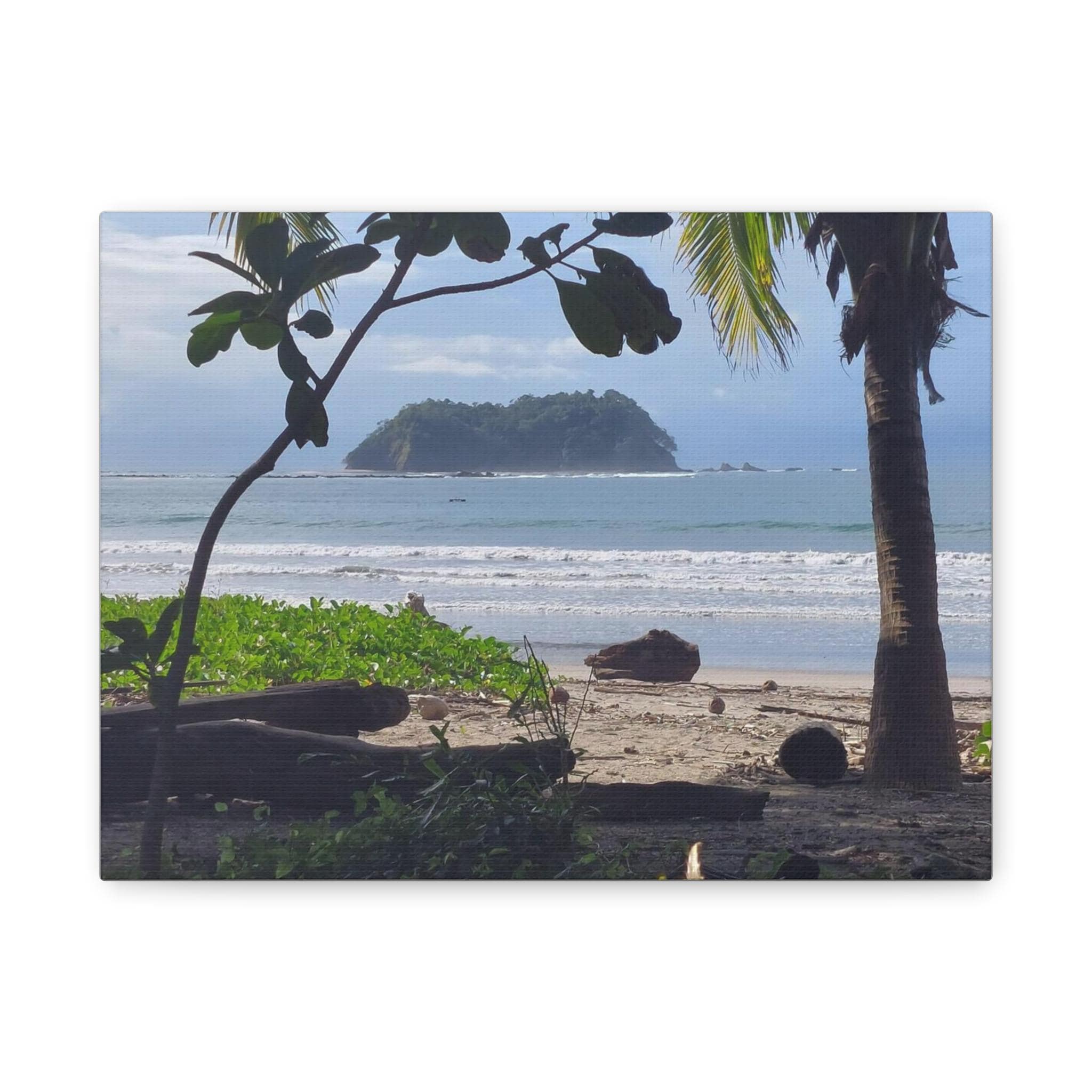 Tropical Beach Island Matte Canvas