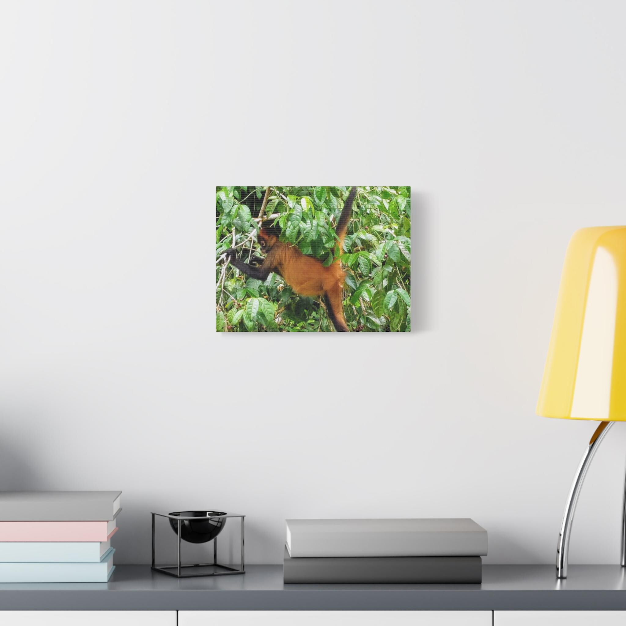 Howler Monkey Canvas view 3