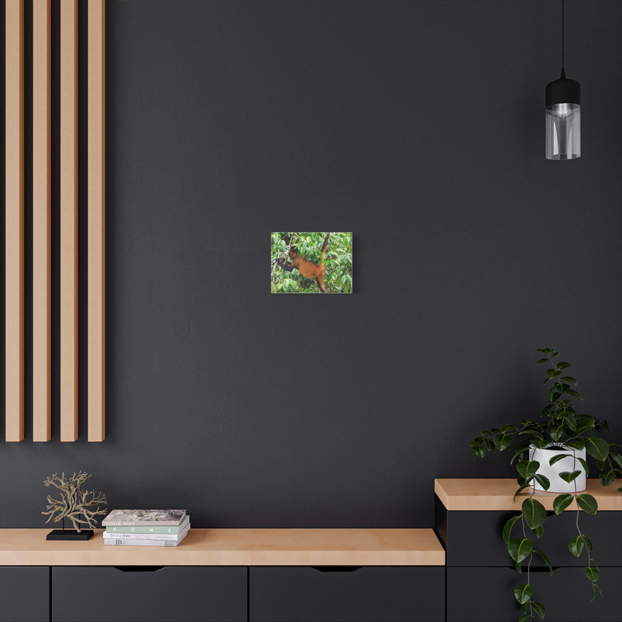 Howler Monkey Canvas view 4
