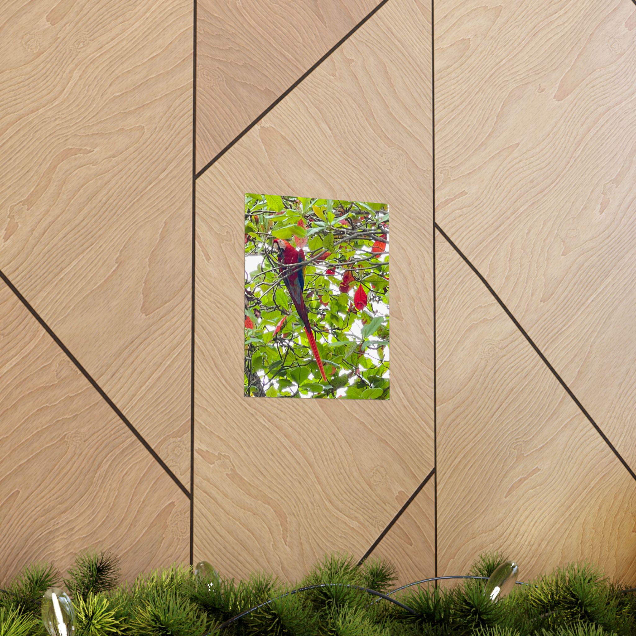 Scarlet Macaw Parrot Matte Vertical Poster | Tropical Bird Wall Art view 5