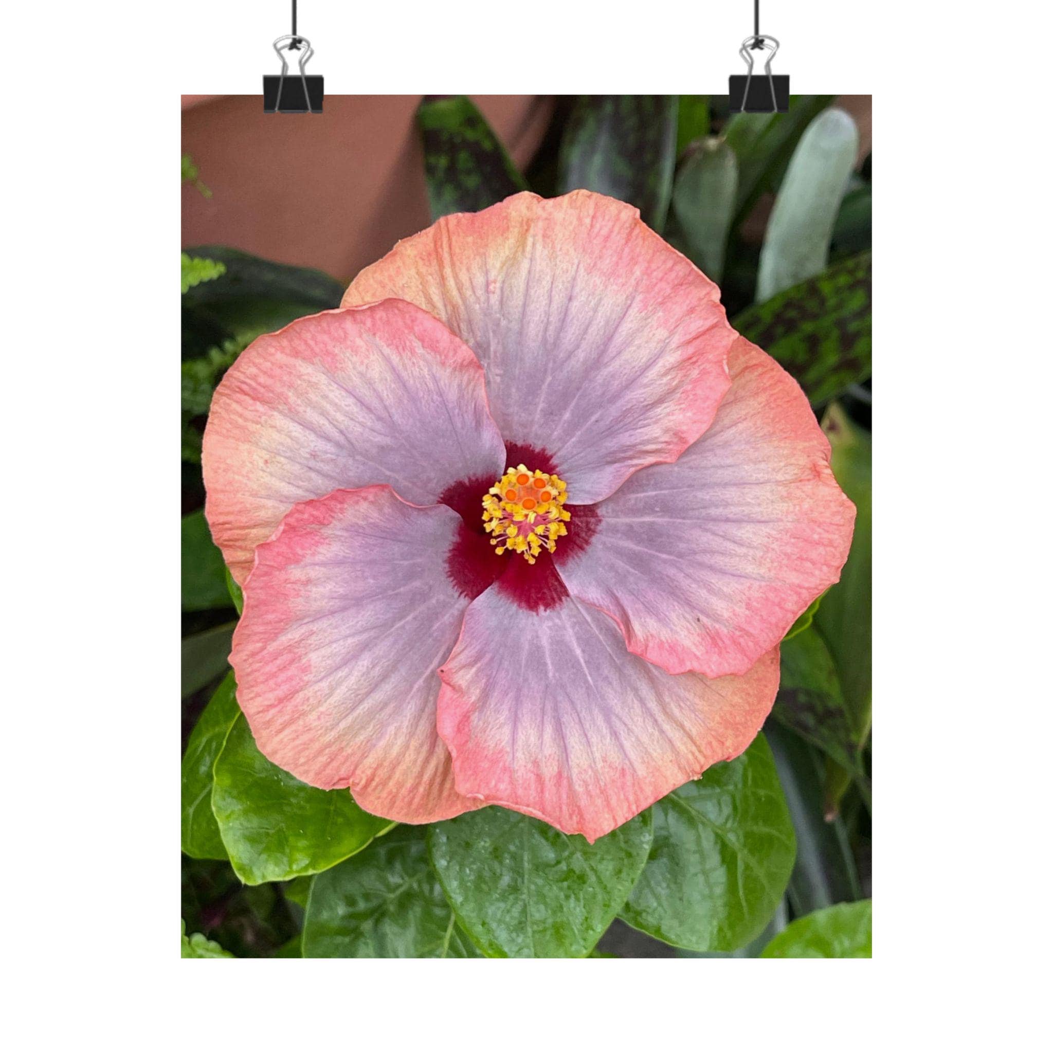 Pink Hibiscus Botanical Matte Poster | Vertical Flower Print