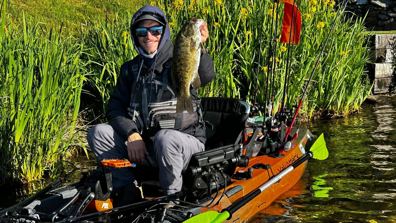 Kayak angler holding a bass beside reeds with spinning rods on the kayak