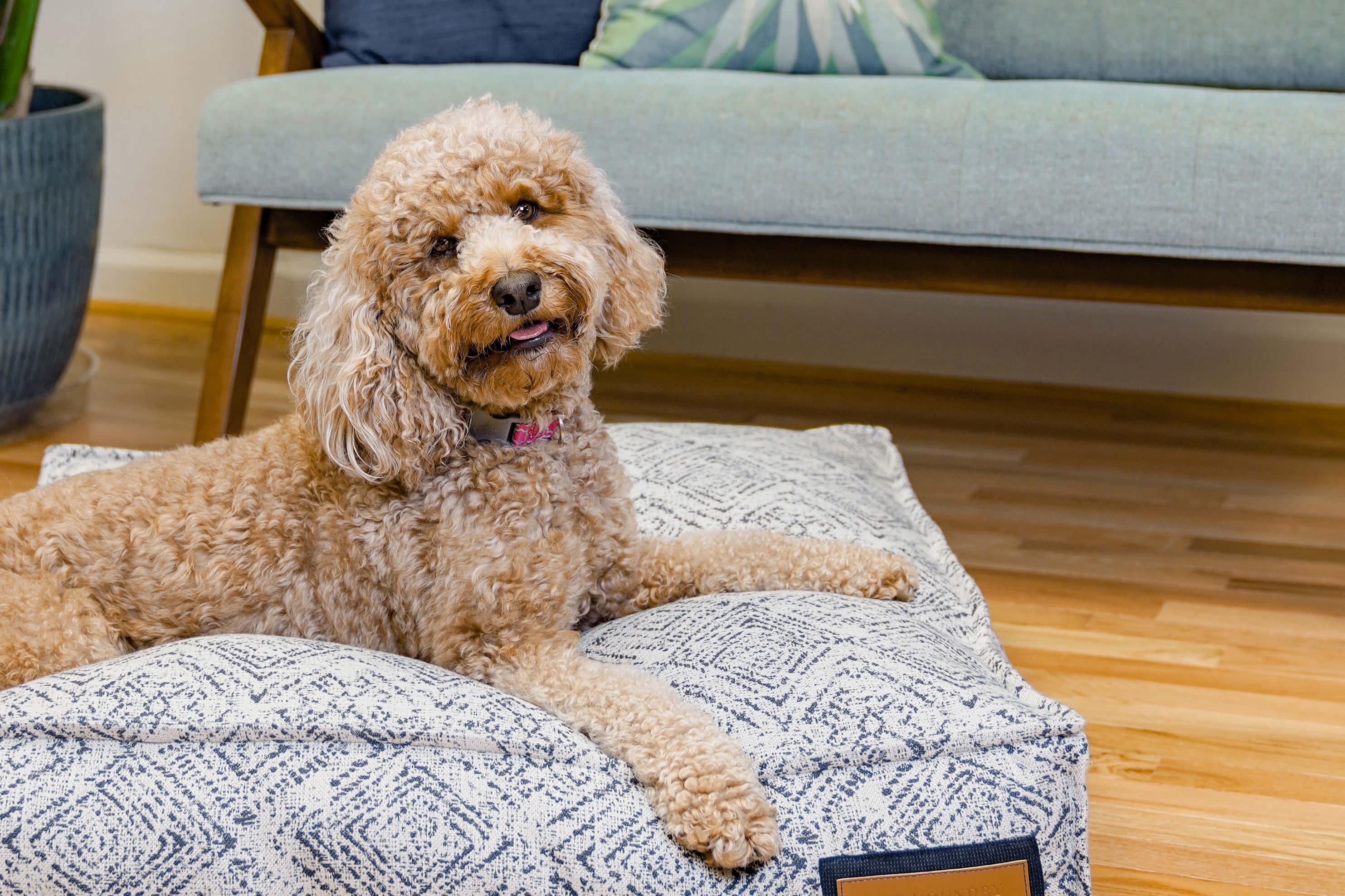 Lounger Pet Bed in Sapphire Spaniel product photo 1
