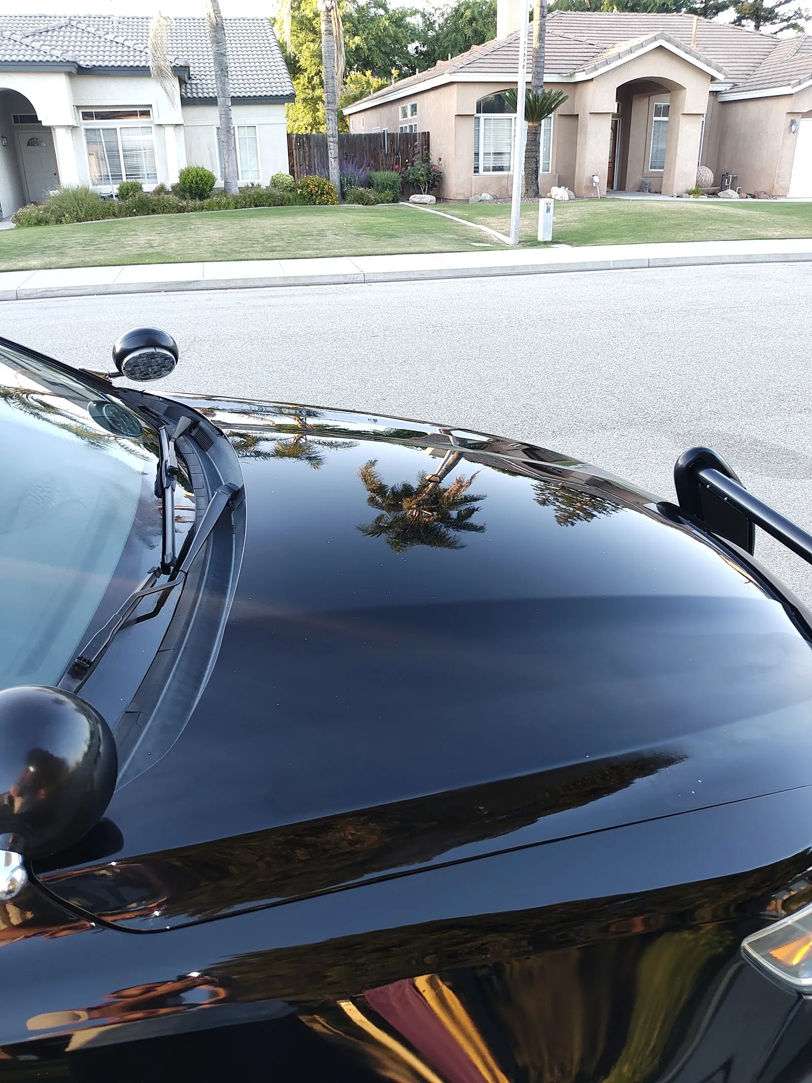 Black vehicle paintwork reflecting light after detailing