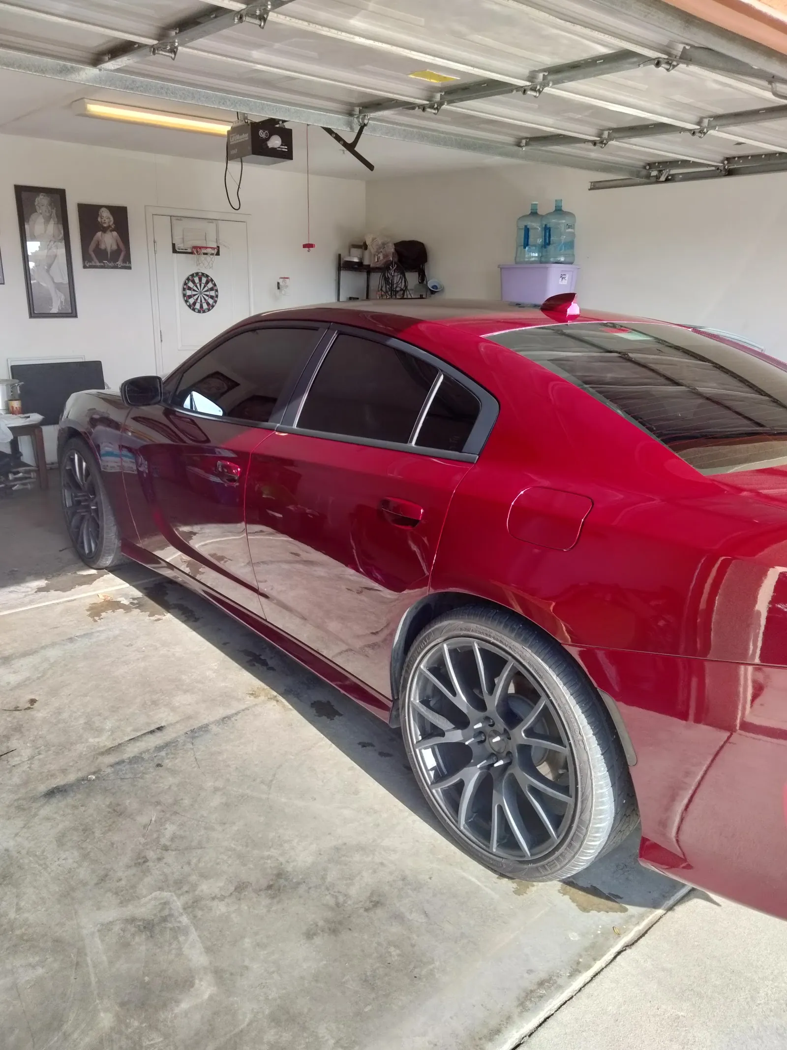 Freshly detailed vehicle parked outdoors with a clean finish