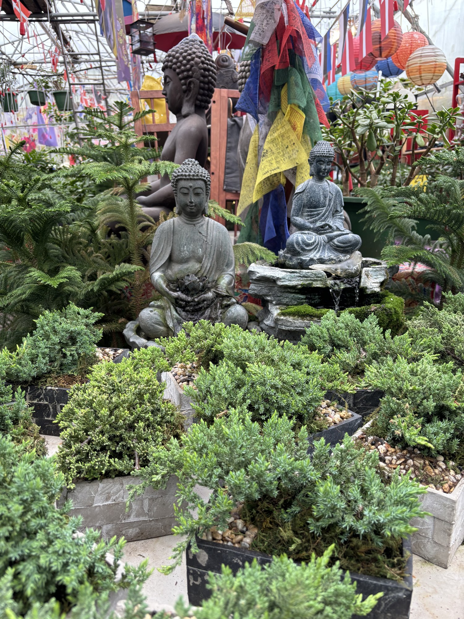 Bonsai trees displayed among Buddha statues and colorful lanterns at Mile 5.2 Greenhouse