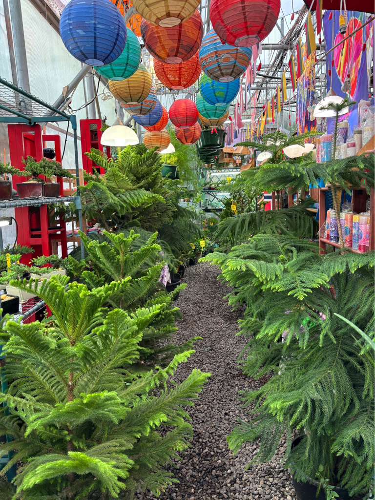 A greenhouse with personality.