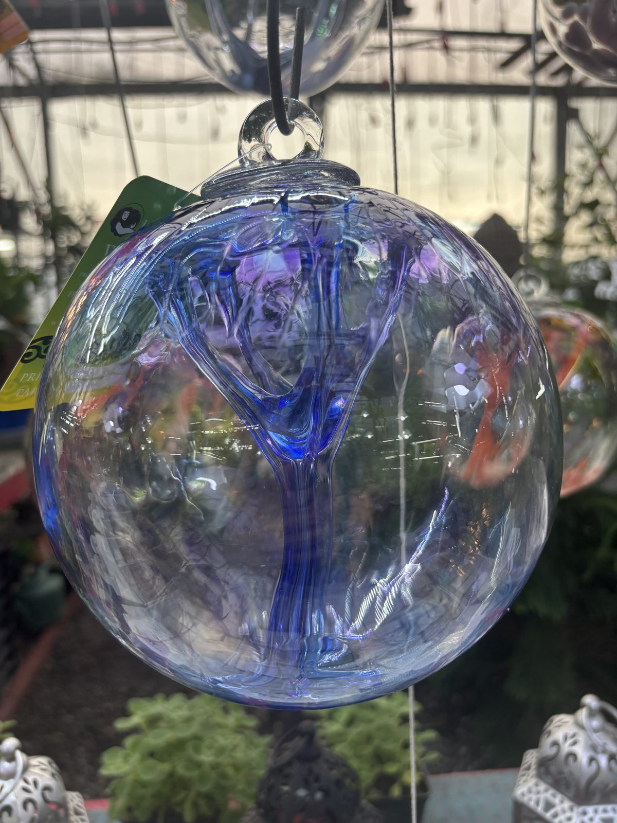 Blue and violet hand-blown glass ball hanging in the greenhouse
