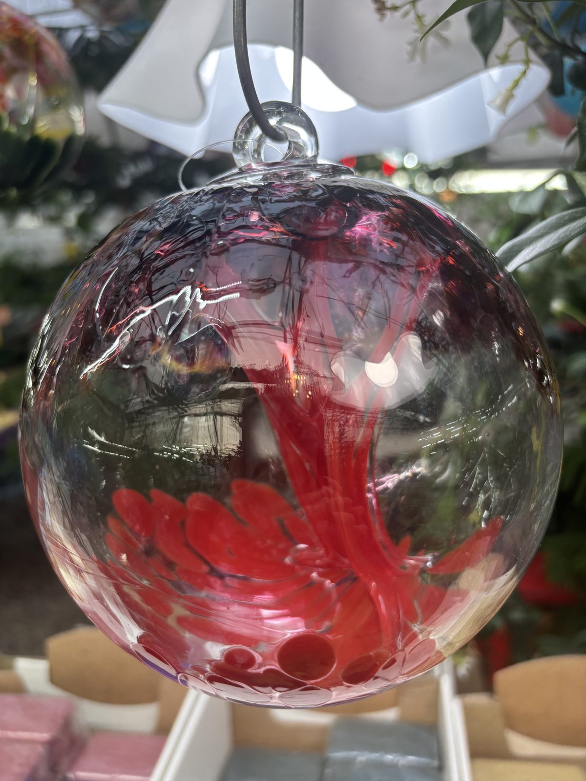 Ruby red hand-blown glass ball hanging in the greenhouse