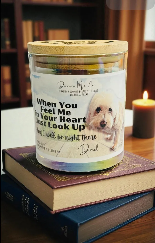 Pet Loss from Hugs of Light