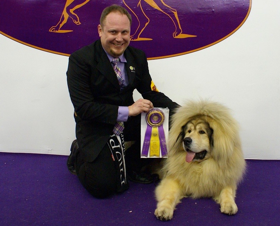 Dog and handler in the ring at a Westminster Kennel Club Dog Show
