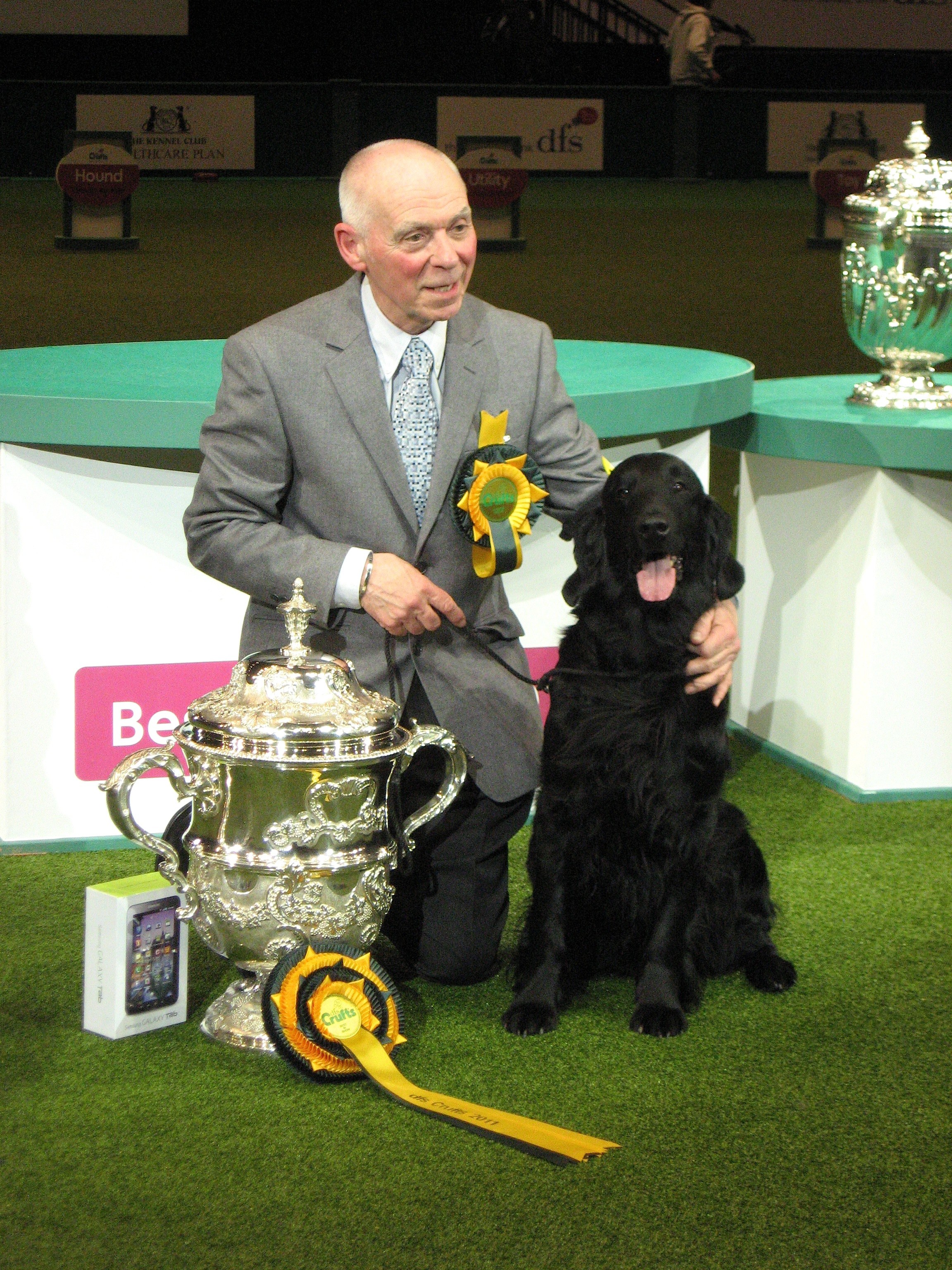 Handlers and dogs competing in a Crufts dog show ring