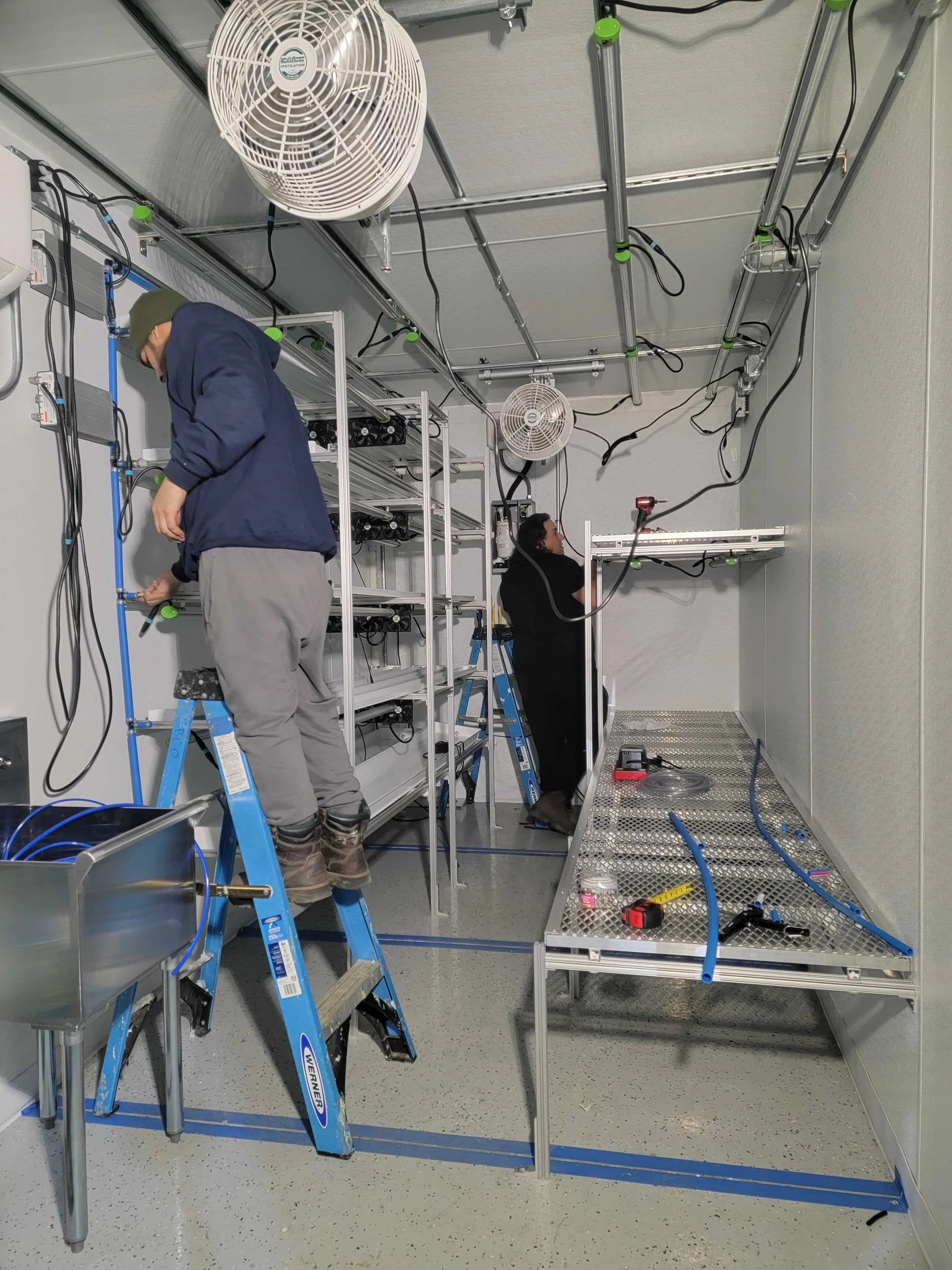 Box4Grow team commissioning equipment inside a grow room