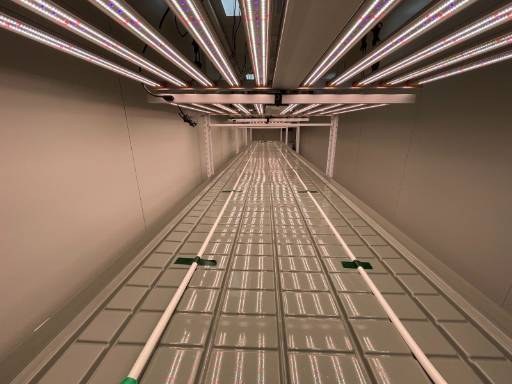 LED fixtures and racking inside a container grow room