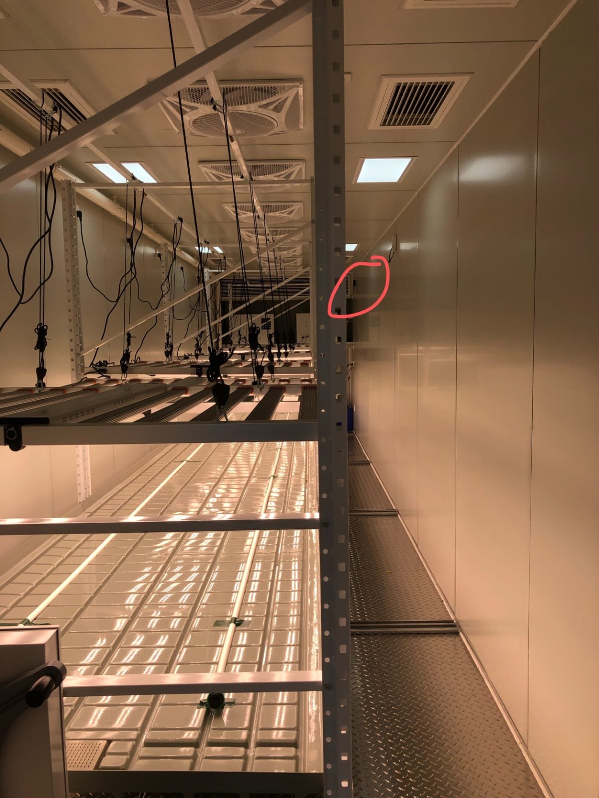 Lighting and racking inside a Box4Grow cultivation room