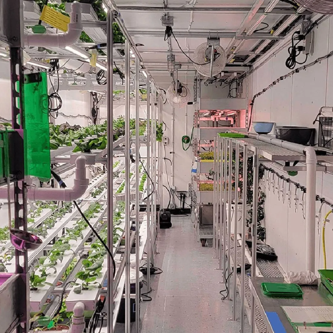 Extraction labs
