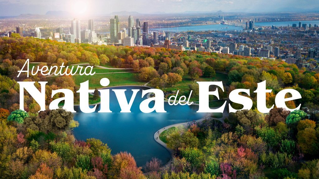 View from Aventura Nativa del Este
