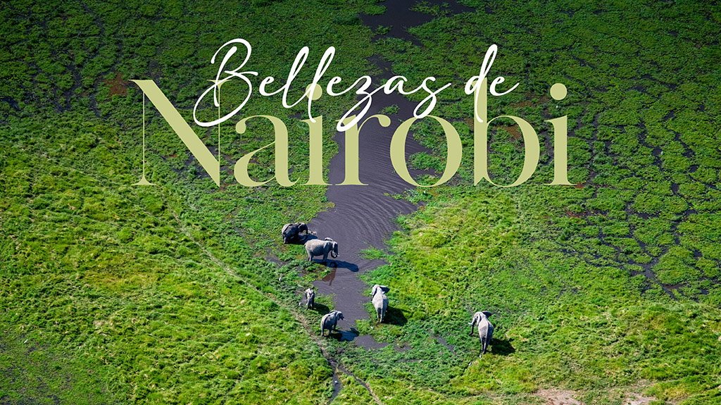 View from Bellezas De Nairobi