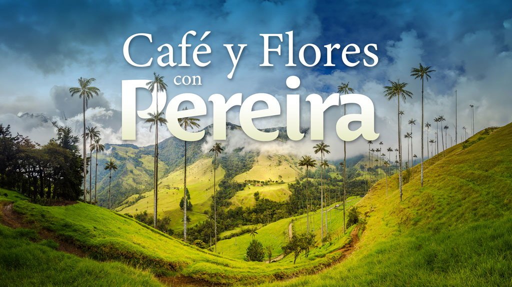 View from Café y Flores con Pereira