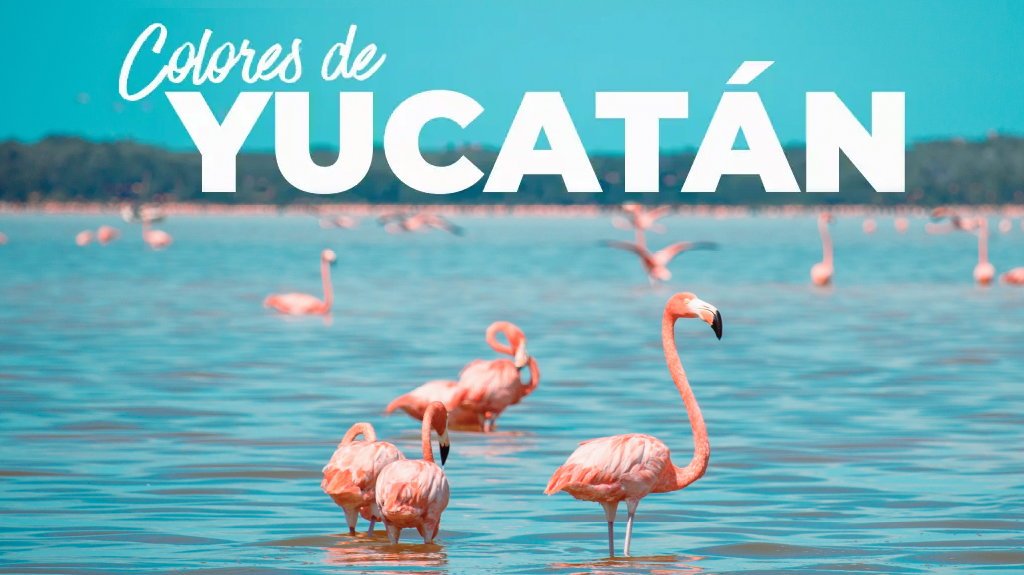 View from Colores de Yucatán