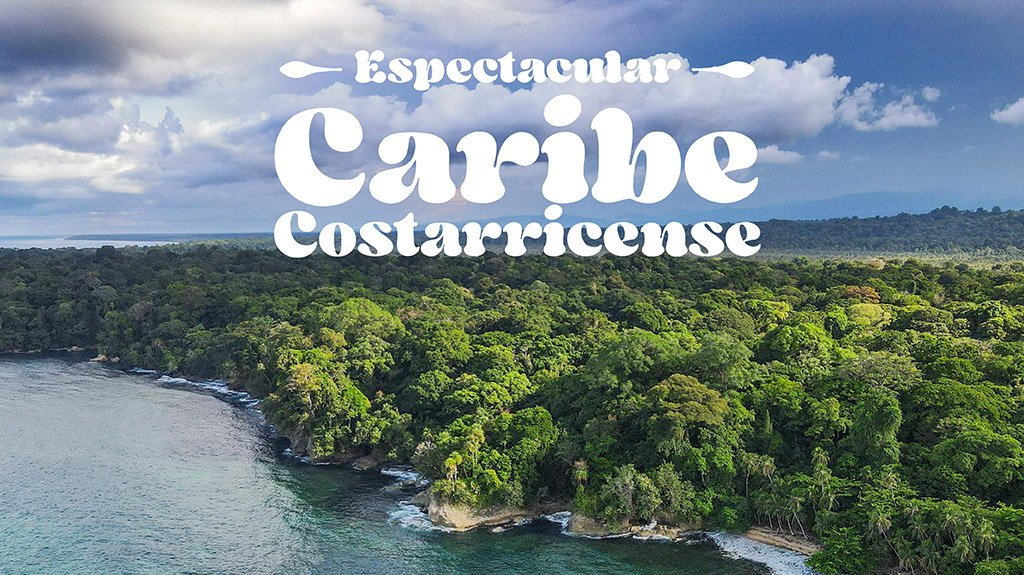 View from Espectacular Caribe Costarricense